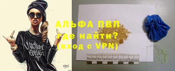 эйфоретик Гусь-Хрустальный
