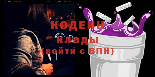 эйфоретик Гусь-Хрустальный