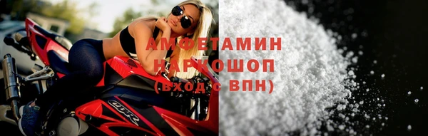 эйфоретик Гусь-Хрустальный