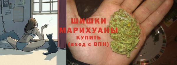 spice Гусев