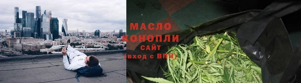 эйфоретик Гусь-Хрустальный
