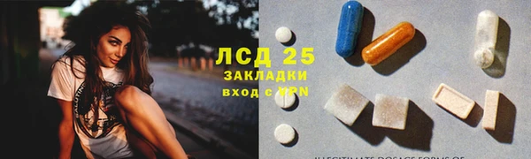 эйфоретик Гусь-Хрустальный