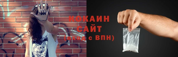 эйфоретик Гусь-Хрустальный
