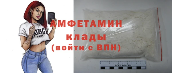 эйфоретик Гусь-Хрустальный
