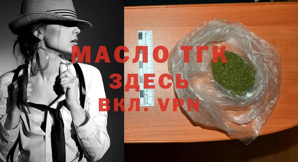 эйфоретик Гусь-Хрустальный