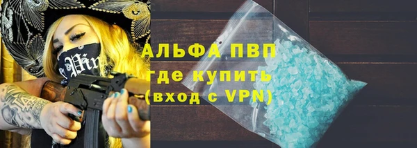 эйфоретик Гусь-Хрустальный